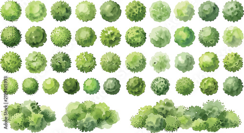 Set of top-down view tree and shrub symbols for architectural landscape design and 2D map illustration