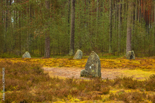 Konstfotografi Ancient standing stones in a forest clearing, Odry, Kashubia, Poland