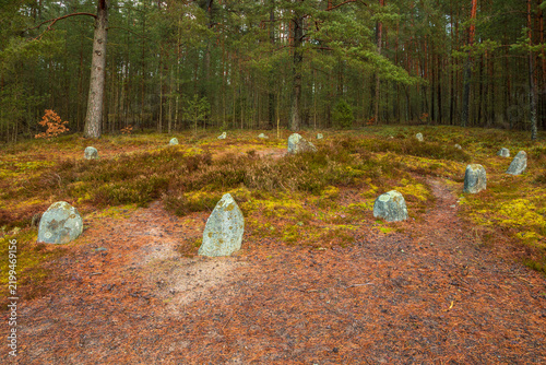 Принти на полотні Ancient stone circle in pine forest clearing, Odry, Kashubia, Poland