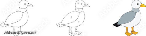 Seagull bird stained glass pattern, line art outline with color guide and colored version vector illustration EPS