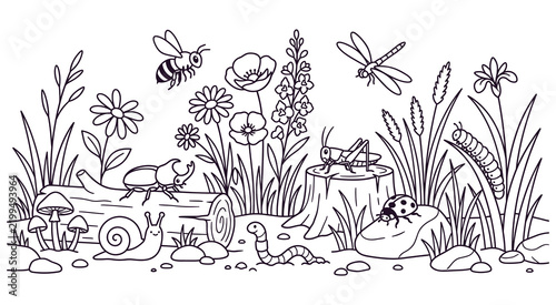 Cute forest insects black and white coloring page design.