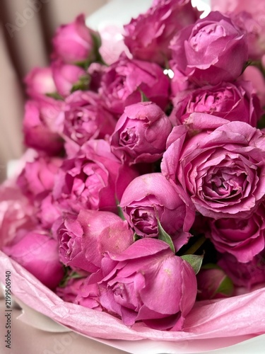 Bouquet of Pink Peony Roses, Romantic Garden Flowers