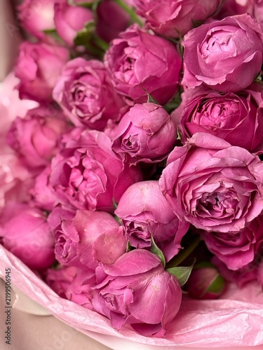Bouquet of Pink Peony Roses, Romantic Garden Flowers