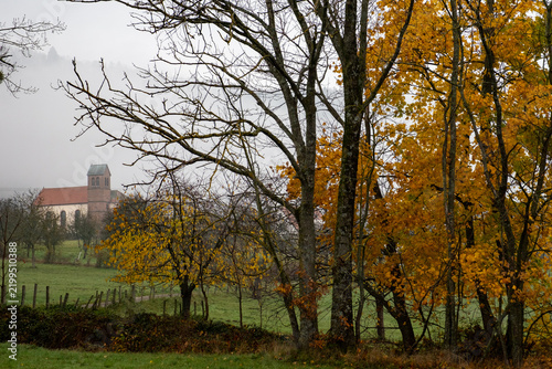 Une église et des arbres aux feuilles jaune dan la campagne (scène automnale)