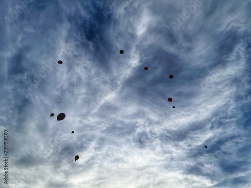 hot air balloon