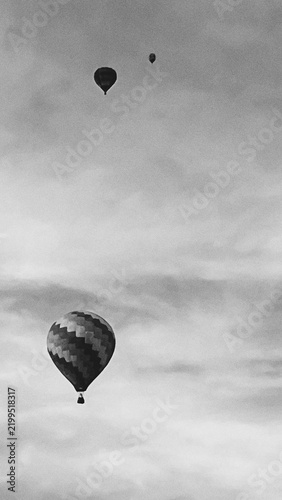 hot air balloon