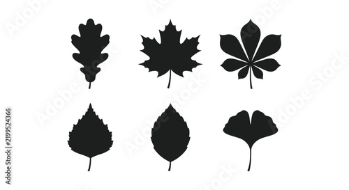 Minimalist black leaf silhouettes collection representing various tree species for autumn and nature design

