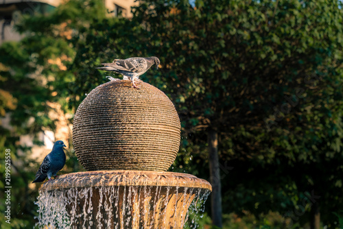 Two pigeons perched on ornamental water fountain in sunlight.