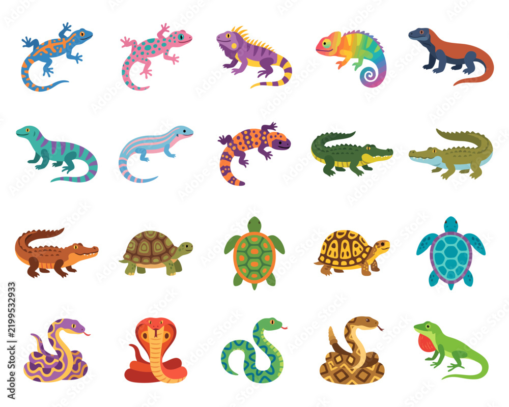Obraz premium Reptiles. reptiles breathe air using lungs and are usually found in warm environments, although some can live in cooler regions.