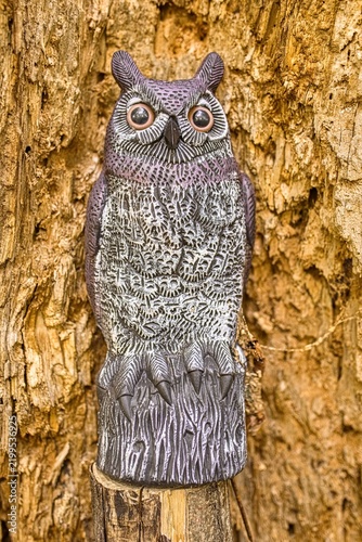 Foto Close-up vertical shot of a plastic owl decoy bird repellent figurine perched on a wooden post inside a hollow tree trunk