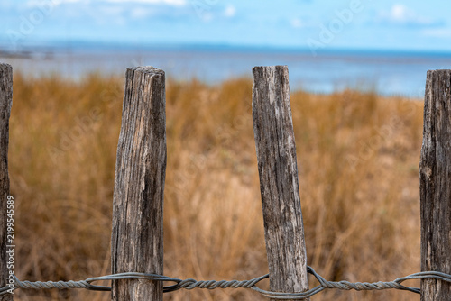 Wooden beach fence on an autumn beach by the sea with copy space