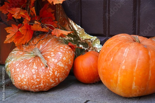 Ripe orange pumpkins with red maple leaves decorating house entrance for autumn harvest festival and Halloween. Seasonal front door decor concept. Fall home decoration with natural elements.