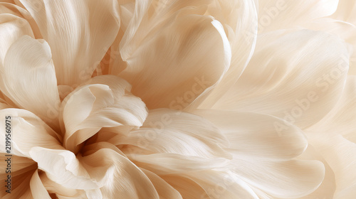 Soft Cream and Beige Floral Petal Texture Background for Autumn Wallpaper, Branding and Elegant Design Concepts