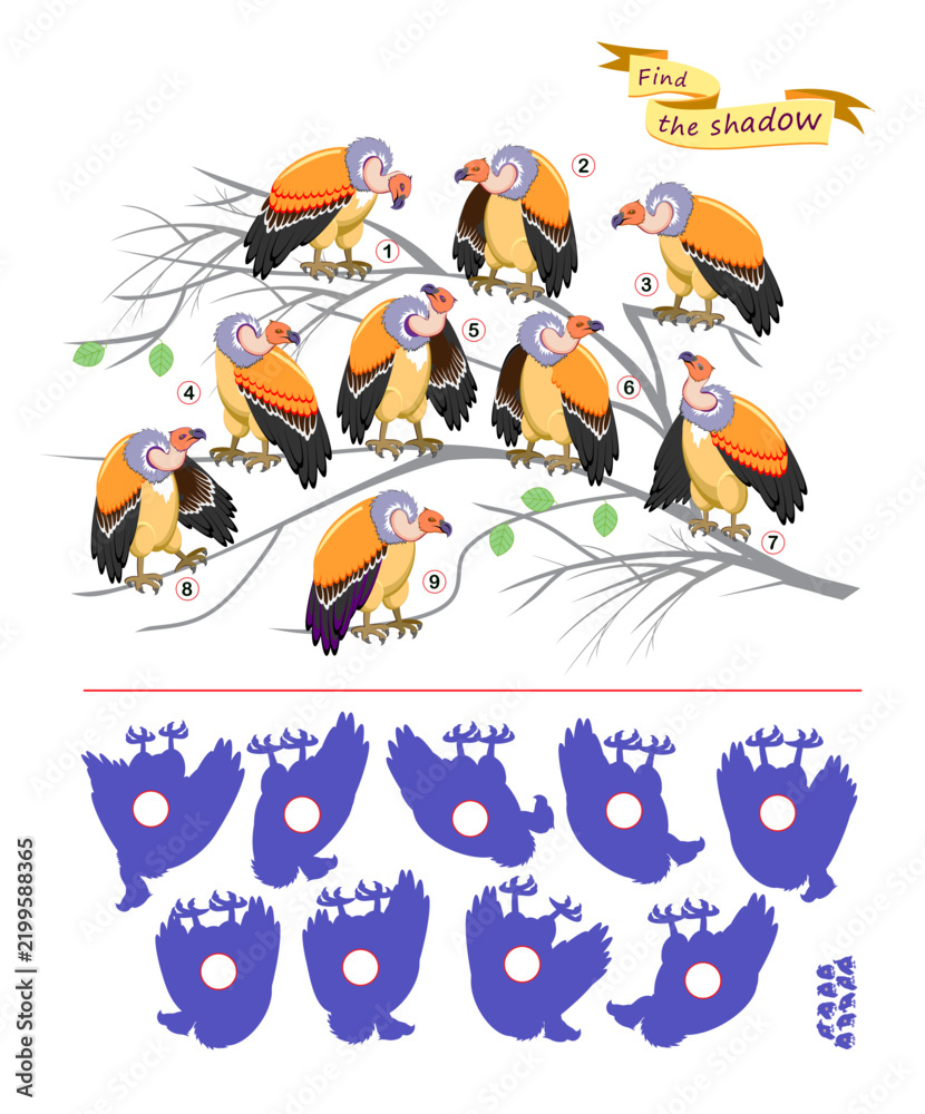Fototapeta premium Best puzzles for kids. Can you find the shadow from each vulture? Write the numbers in circles. Hand drawn vector illustration. Educational game for children. Task for attentiveness. IQ test.