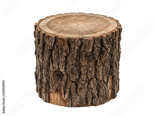 Rustic Wooden Tree Stump Isolated