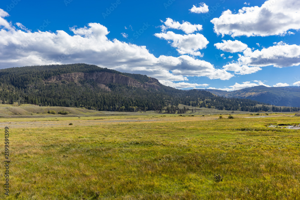 Fototapeta premium Yellowstone landscape with blue sky and clouds