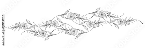 floral divider with leaves and flower botanical border black vector illustration isolated on transparent background