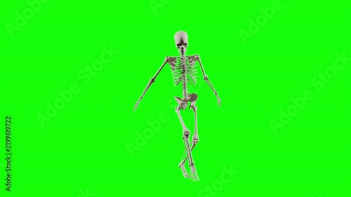 Skeleton Hip Hop Dancing Character Animation with Green Screen