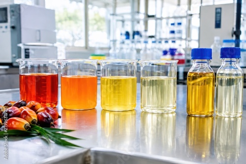 Palm oil extraction process showcasing vibrant red crude palm oil, bright orange palm olein, golden palm stearin, clear refined oil in modern industrial lab with clean workspace