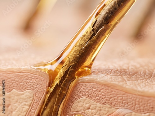 A close-up cross-section view showing a damaged hair strand being coated by a golden hair oil.