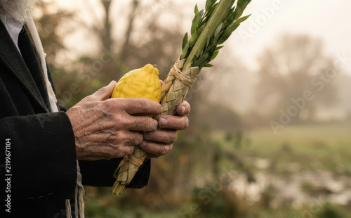 Elderly Jewish man holding lulav and etrog for Sukkot festival tradition religious ritual