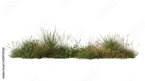 Horizontal Strip of Wild Meadow Vegetation and Long Grass Isolated on Black Background, Realistic Garden Plants and Field Weeds for Landscape Architecture and Digital Matte Painting