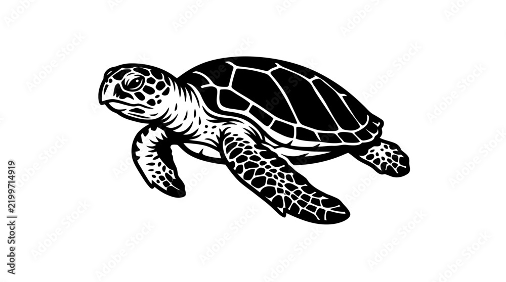 Fototapeta premium Black and white sea turtle linocut illustration.