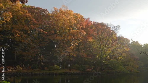Sunlight illuminates colorful autumn trees beside a calm lake.