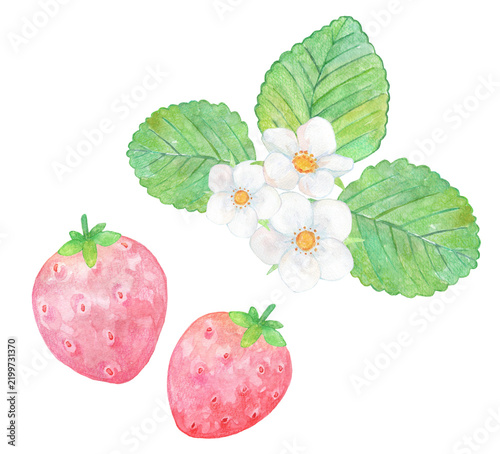 水彩で描いたいちごのイラスト
