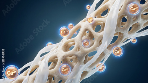 petri dish, cream, skincare, hyaluronic acid, molecule, molecular structure, laboratory, science, cosmetic, dermatology, hydration, moisture, serum, lotion, biotechnology, formula, research, chemical,
