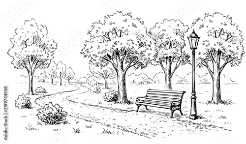 Minimal Urban Park Trees Bench Streetlamp Black Line Art Vector