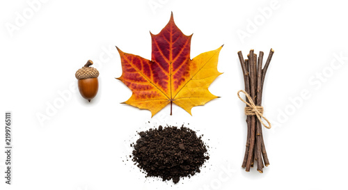 Autumn Leaf Acorn Soil and Stick Bundle on White Background