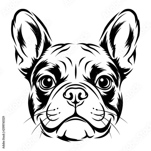 French Bulldog Illustration in Black and White  