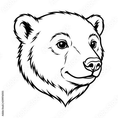 Bear Head Illustration - Sketch of a bear's face in a minimalist style  