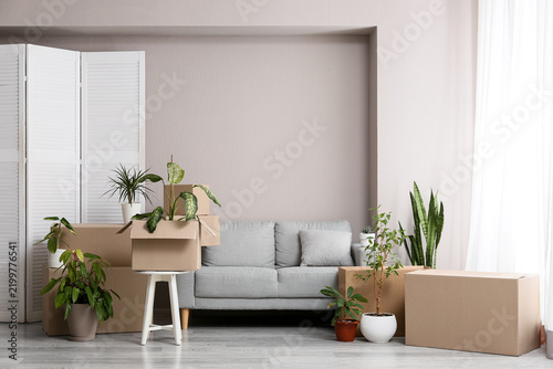 Fotografie Moving house and relocation concept, cardboard boxes and houseplants in a living