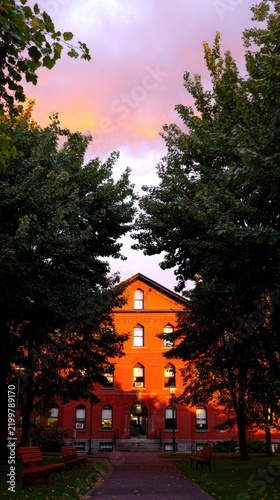 Sunset orange building through trees