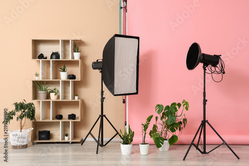 Professional equipment with pink backdrop and houseplants in modern photo studio