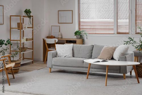Interior of light living room with grey sofa, tables and plants