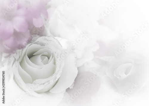 Soft focus close up of elegant white rose with silver glitter and pastel purple flowers background.