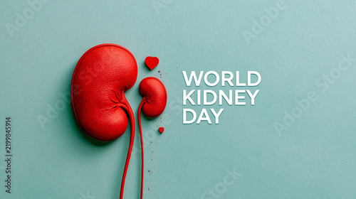 World Kidney Day, Kidney Health and Disease Awareness Concept.