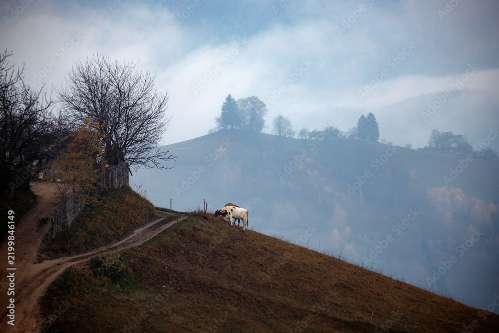 Obraz premium Foggy rural autumn landscape in mountains
