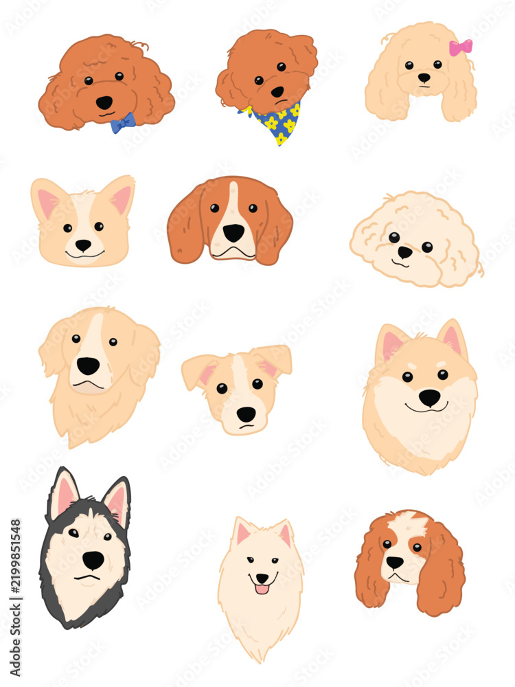 Fototapeta premium Cute Dogs Hand Drawn Illustration Set, Popular Dog Breeds Including Husky, Retriever, Poodle and Akita