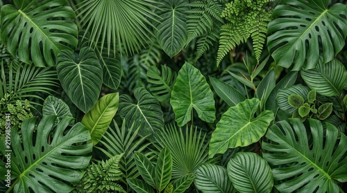 
Dense arrangement of assorted tropical foliage, featuring the cut leaves of *Monstera deliciosa* (Swiss cheese plant)