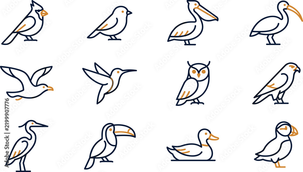 Fototapeta premium Minimalist Bird Species Vector Illustration featuring blue and orange line art icons for nature design projects