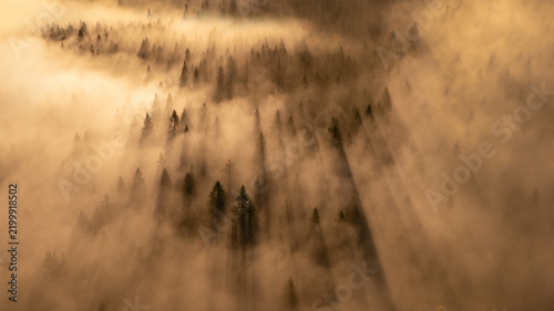 Fog blankets Puijo forest, hiding the tree tops as daylight starts to break. The scene captures the beauty of nature in the morning hours, showing layers of mist