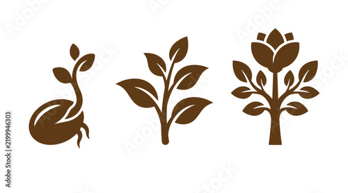 Three stages of plant growth icons depicting seed germination sapling sprout full mature plant evolution environment development cultivation gardening agriculture