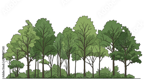 tree elevation view of green forest trees vector for architectural rendering and landscape design layout