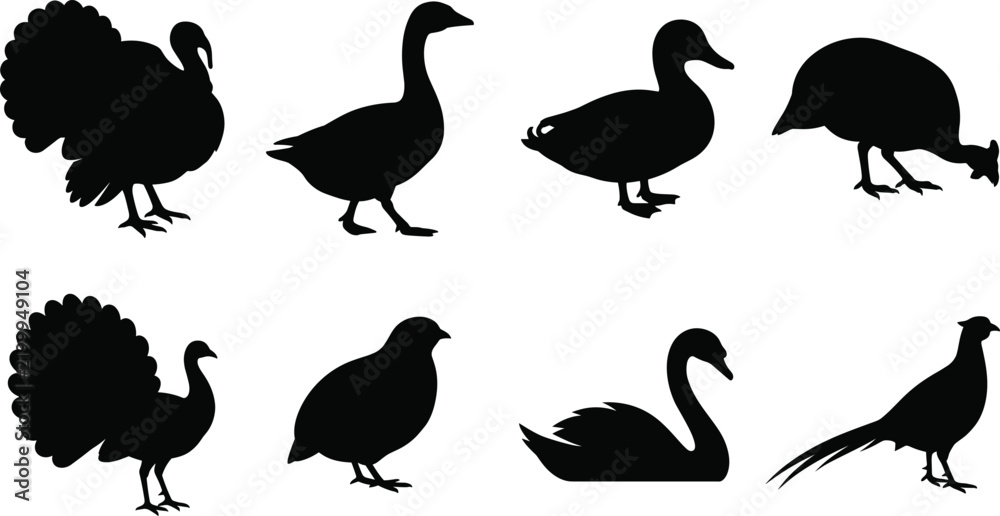 Fototapeta premium Collection of flat black farm poultry and wild water bird silhouettes for commercial vector graphic design projects