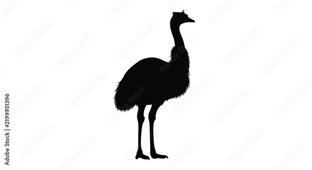 Fototapeta premium Rhea bird silhouette against a white background
