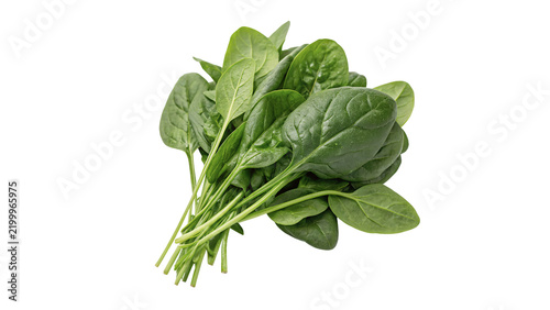 Bunch of fresh green organic raw spinach leaves isolated on transparent background.